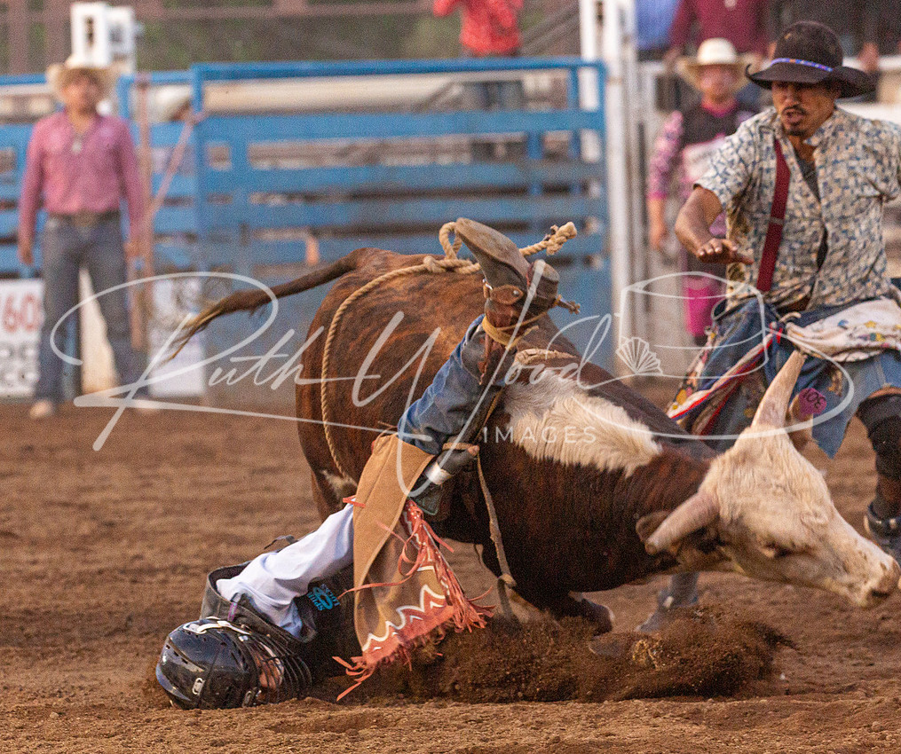 Steer wrestler bringing a steer to the ground in the arena