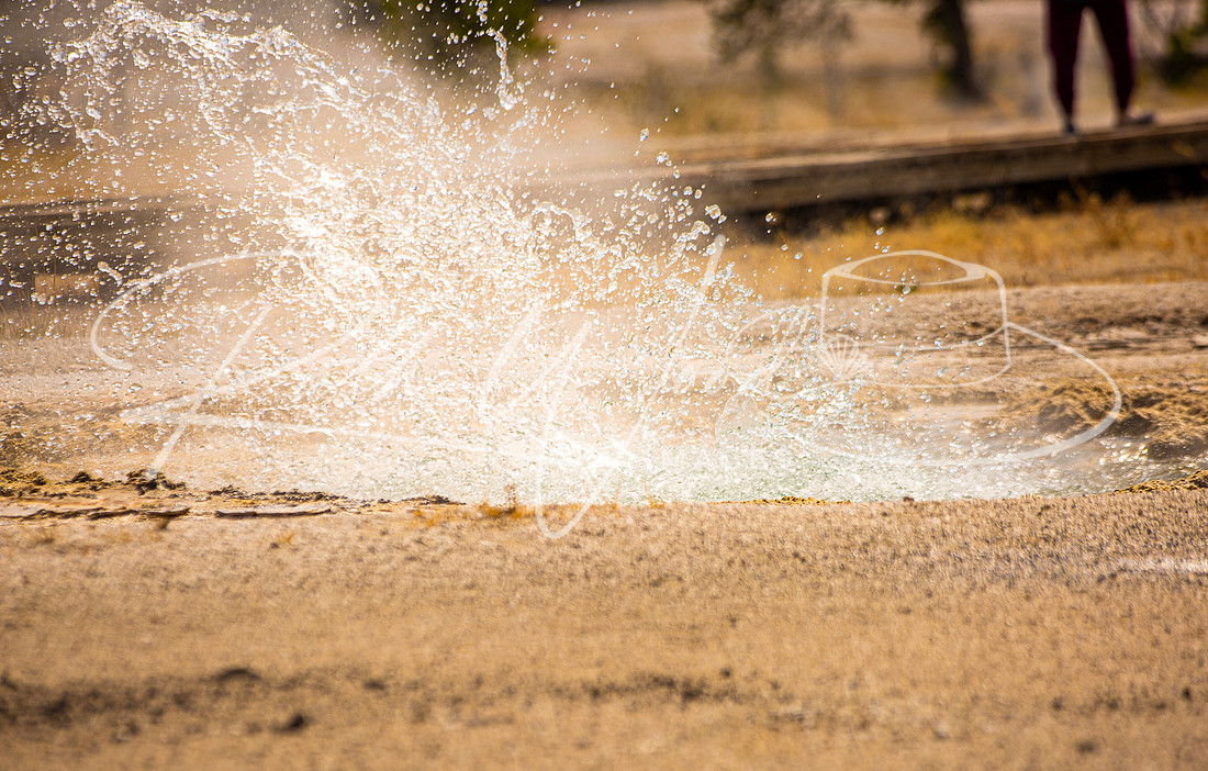 Geyser spray catching the light above a mineral basin