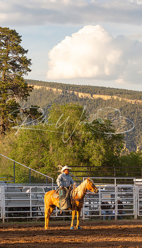 Rider on a palomino horse by arena fencing under a big cloud
