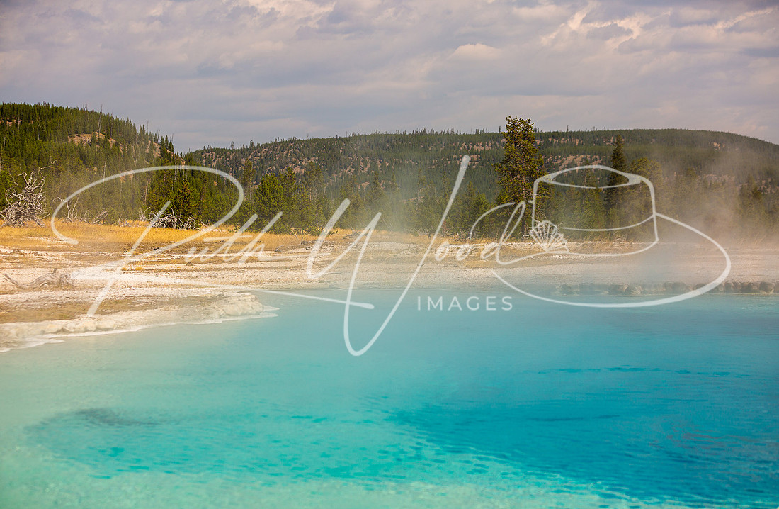 Turquoise hot spring steaming beneath a forested ridge